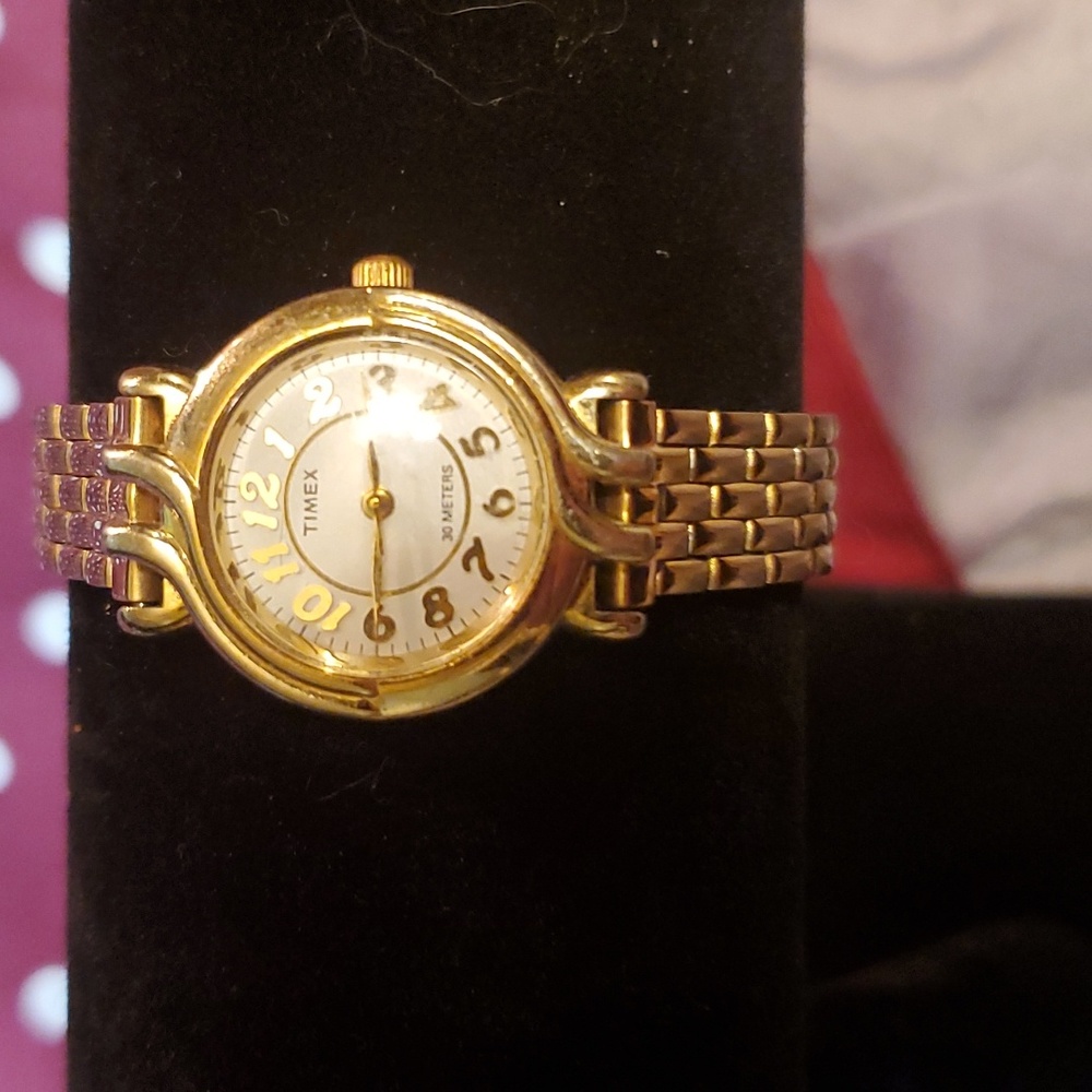 COPY - BEAUTIFUL Timex Warch